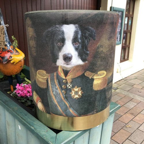 Dog Fabric Foot Rest & Stool