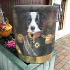 Dog Fabric Foot Rest & Stool