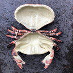 Crab Cast Iron Hinged Lid Trinket Box Large