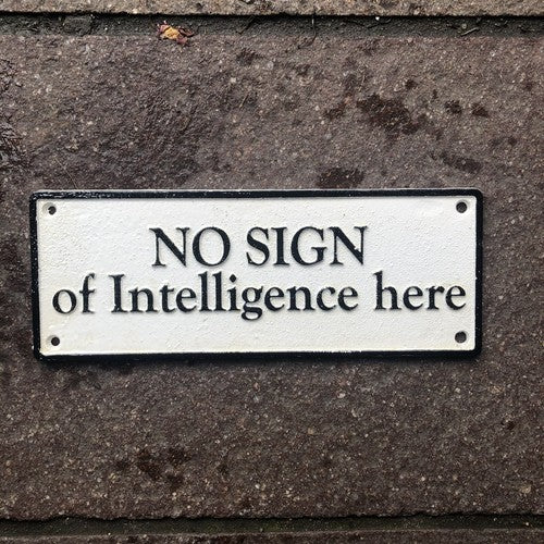 No Sign Of Intelligence Here Cast Iron Sign