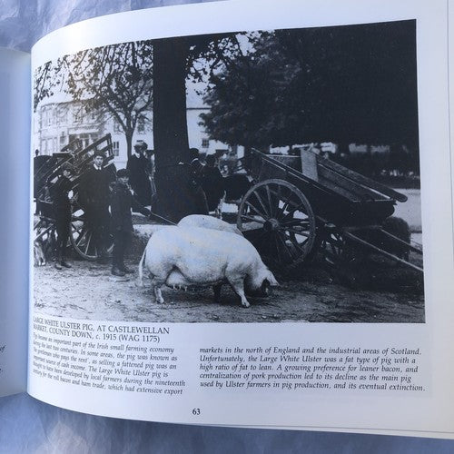 Farming In Ulster By Jonathan Bell