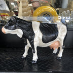 Cow Solid Cast Iron Heavy