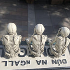 Wise Skeletons Shelf Sitters Set Of 3