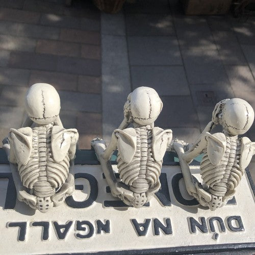 Wise Skeletons Shelf Sitters Set Of 3