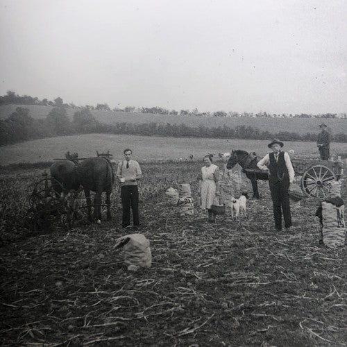Down On The Farm Down County Museum Book
