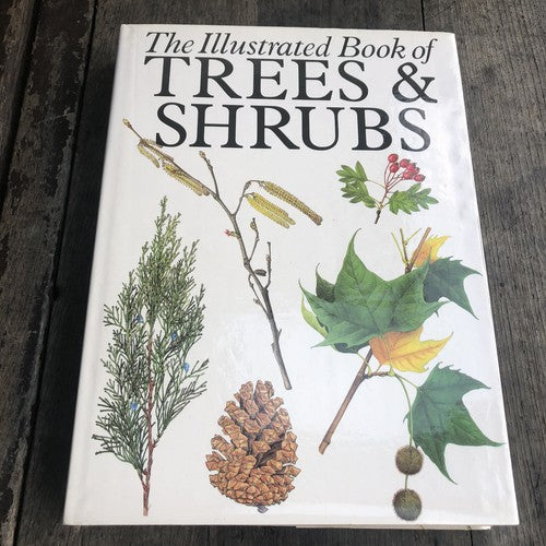 The Illustrated Book Of Trees & Shrubs