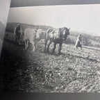 Down On The Farm Down County Museum Book
