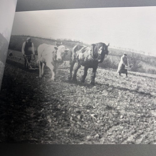 Down On The Farm Down County Museum Book