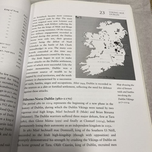 Viking Age Dublin By Ruth Johnson