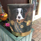Dog Fabric Foot Rest & Stool