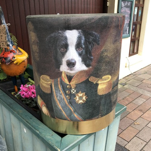 Dog Fabric Foot Rest & Stool
