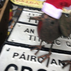 Mr & Mrs Santa Robin