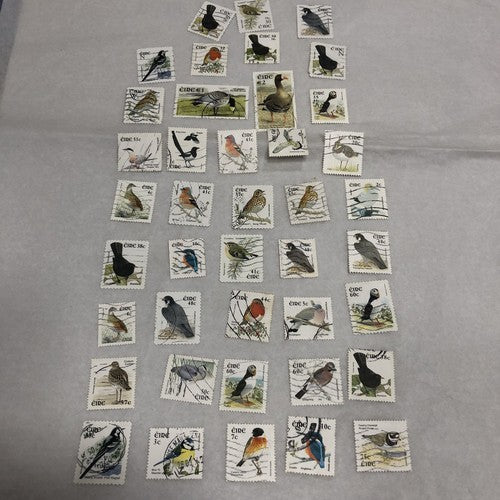 Bird Definite Postage Stamps