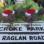 Pair Of Santa Robins