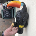 Guinness Sold Here Wall Mounted Toucan