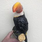Guinness Sold Here Wall Mounted Toucan
