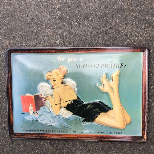 Schweppes Metal Sign Good Quality