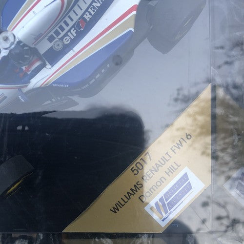 Williams Renault FW16 Damon Hill Model