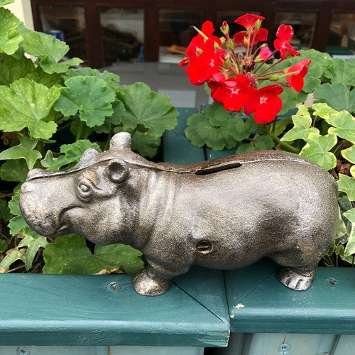 Hippo Cast Iron Money Box