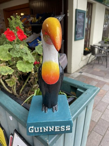 Guinness Toucan