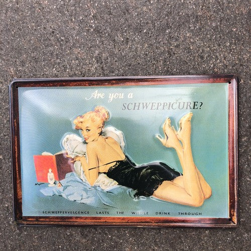 Schweppes Metal Sign Good Quality