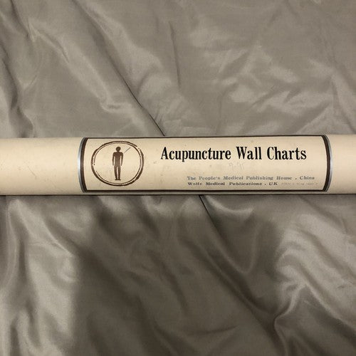 Acupuncture Set Of Three Vintage Wall Charts