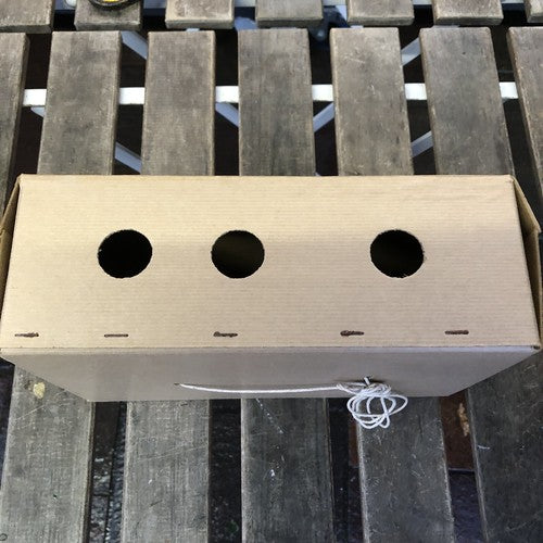 Game Perishable Deliver Immediately Vintage Box