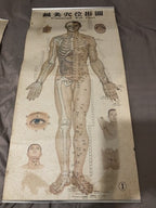 Acupuncture Set Of Three Vintage Wall Charts