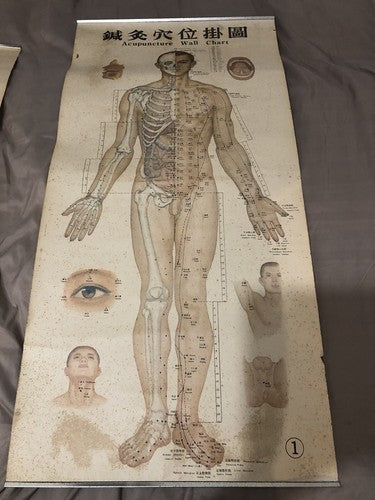 Acupuncture Set Of Three Vintage Wall Charts