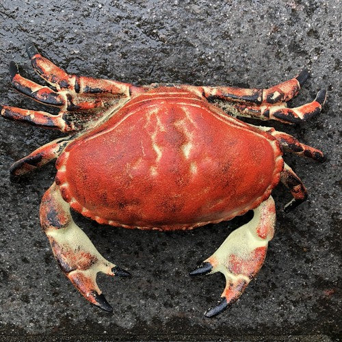 Crab Cast Iron Hinged Lid Trinket Box Large