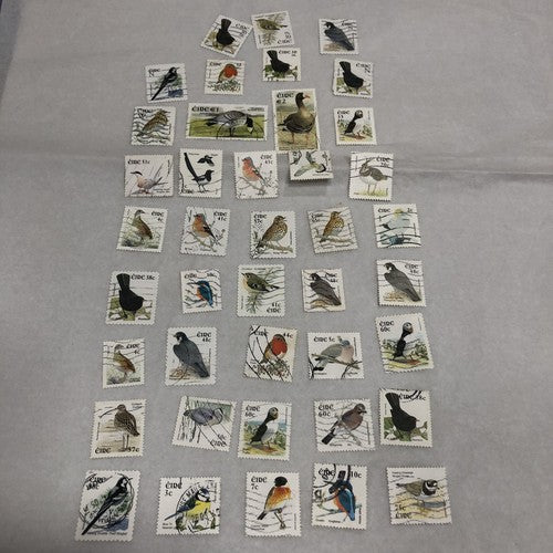 Bird Definite Postage Stamps