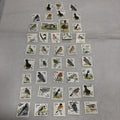 Bird Definite Postage Stamps
