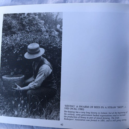 Farming In Ulster By Jonathan Bell