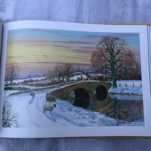 Cookstown From Lough Neagh To The Sperrins By John S Haggan