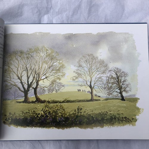 Armagh By Joe Hynes