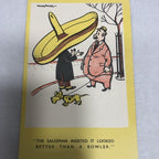 Comic Postcards By Holywoodâs Own Rowel Friers Set:7