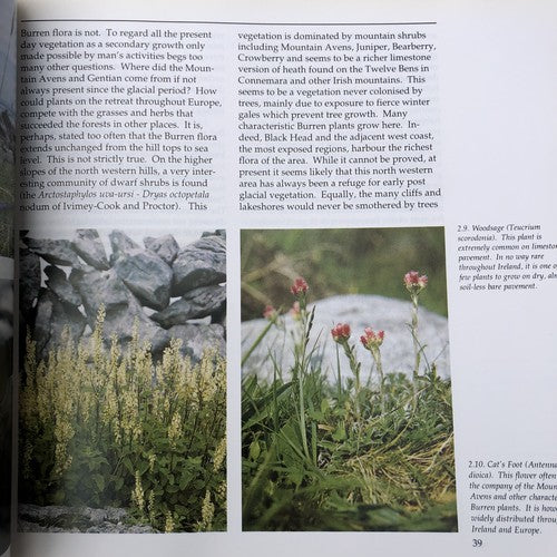 The Book Of The Burren By John Feehan