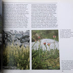 The Book Of The Burren By John Feehan