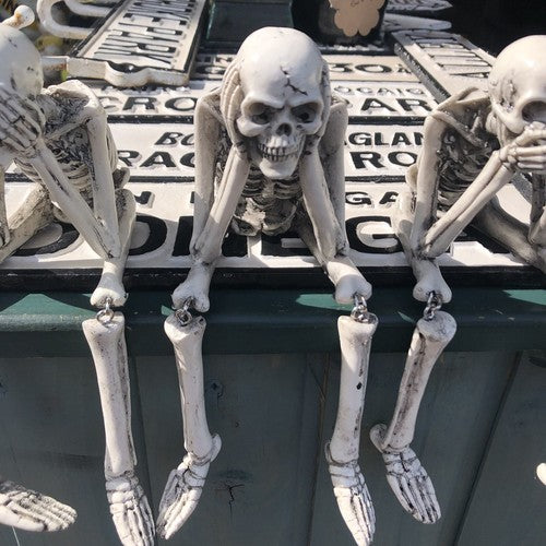 Wise Skeletons Shelf Sitters Set Of 3