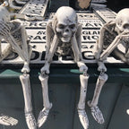Wise Skeletons Shelf Sitters Set Of 3