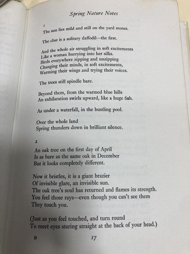 Ted Hughes Season Songs First Edition 1976 See All Photos