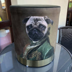Dog Fabric Foot Rest And Stool