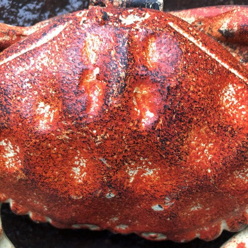 Crab Cast Iron Hinged Lid Trinket Box