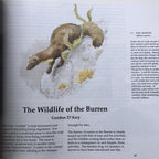 The Book Of The Burren By John Feehan