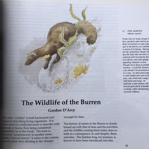 The Book Of The Burren By John Feehan