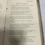 Poems Of Ulster By W. Erskine Mayne