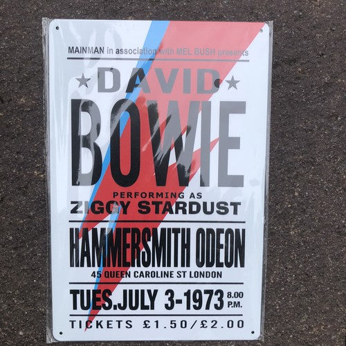 David Bowie Performing As Zingy Stardust Metal Sign
