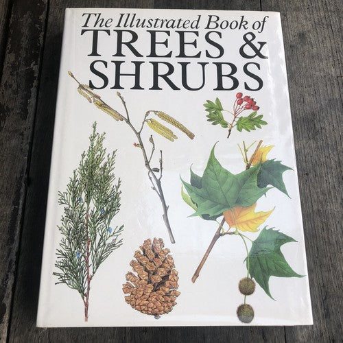 The Illustrated Book Of Trees & Shrubs
