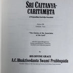 The Pastimes Of Lord Caitanya Vol 2