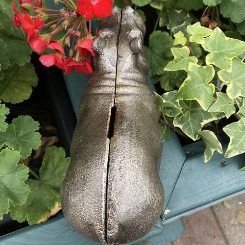 Hippo Cast Iron Money Box